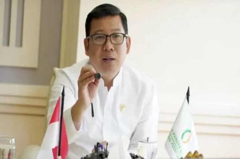 profil-arief-prasetyo-adi-kepala-bapanas-yang-dicopot-presiden-prabowo-nhj.JPG