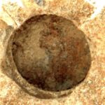 scientists-propose-a-new-approach-for-the-detection-of-alien_qmp5.1200.jpg